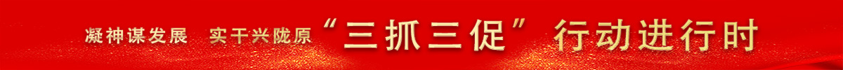 “三抓三促”进行时