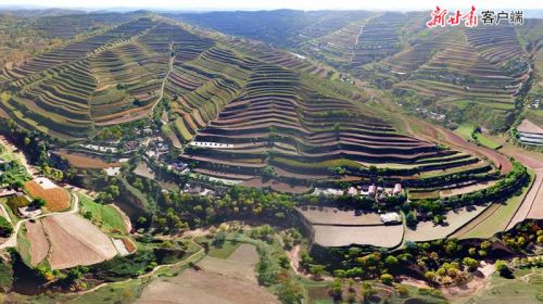 00300350948_629ba996