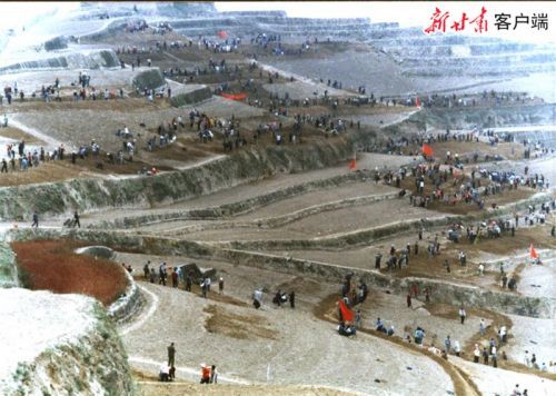 00300350949_83459bc3