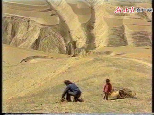 00300350951_9bb21a03