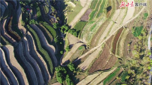 00300350952_b90c98bd