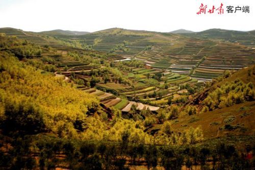 00300350954_71e3d347