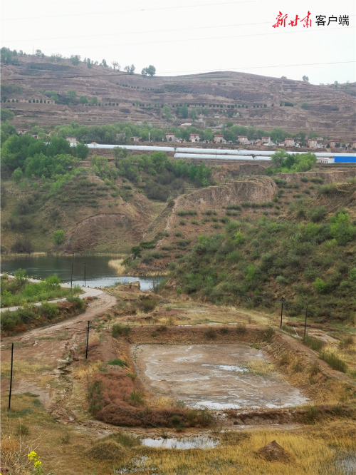 00300350972_29e2c6db