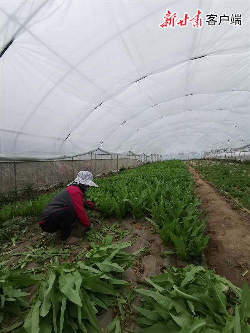 00300350971_362105ee