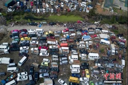 41aed60e9ed94bd4a5fea4e833e42417