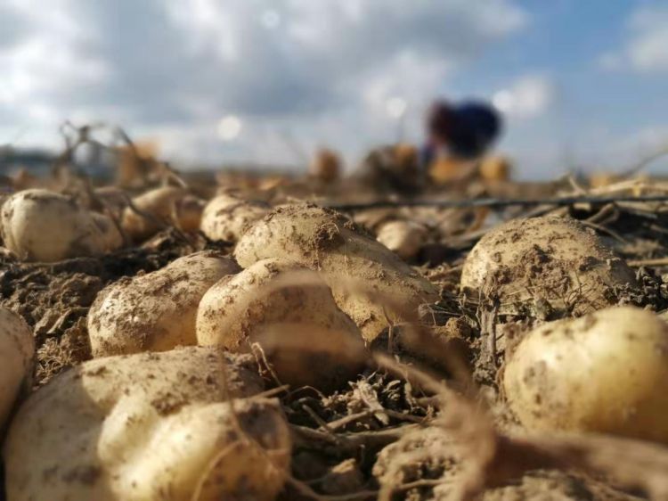 微信图片_20191016145837