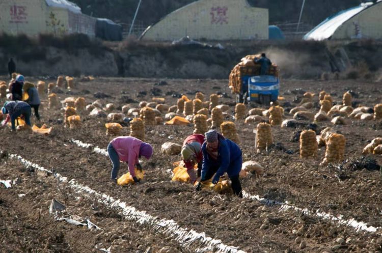 微信图片_20191016145850