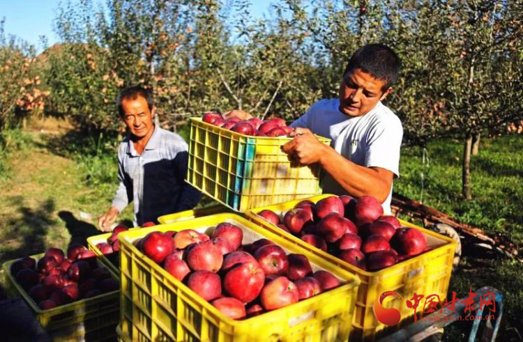 00300477873_8d743b9c