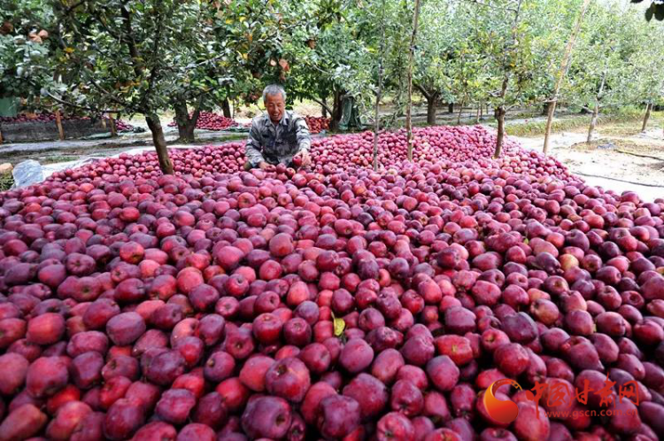 00300477876_dae1c4aa