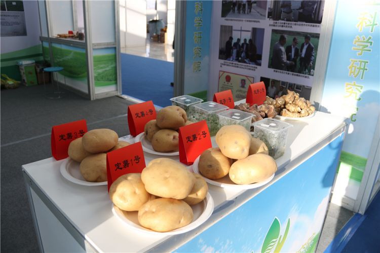 定西农业科学研究院研发培育的定薯系列