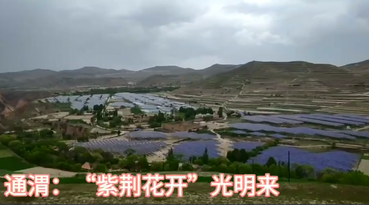 微信图片_20200515115331