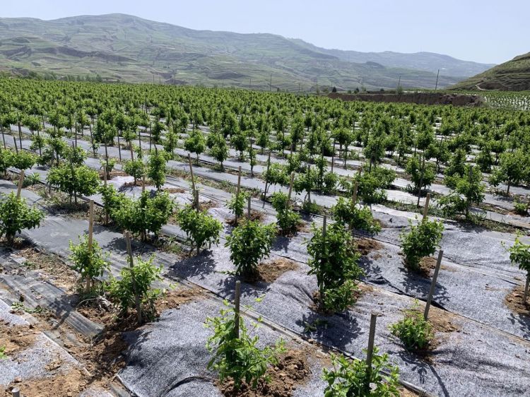 微信图片_20200516131525