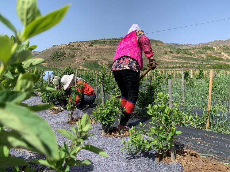 微信图片_20200516131529