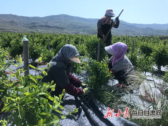 微信图片_20200516133100