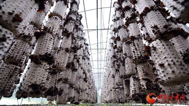 微信图片_20200516204243