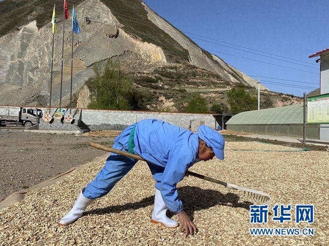 微信图片_20200518205228