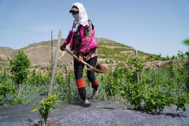 微信图片_20200520163938