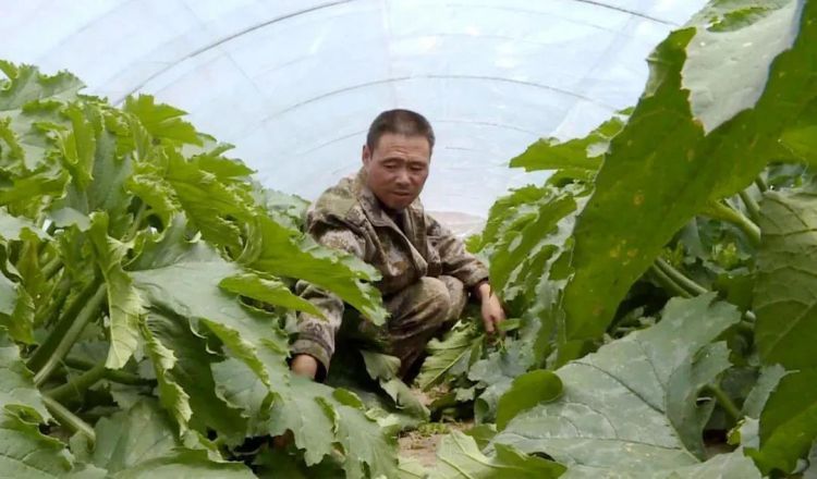 微信图片_20200521102253