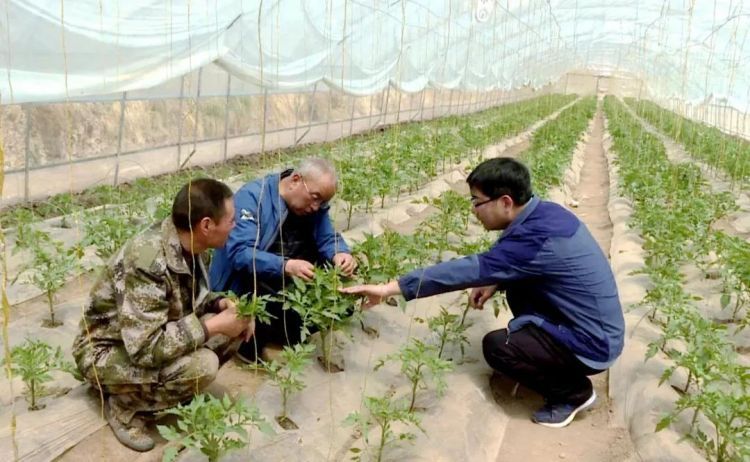 微信图片_20200521102256