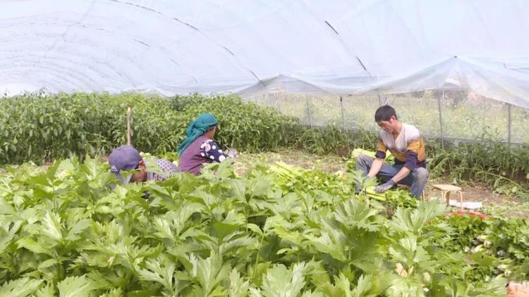 微信图片_20200521102258