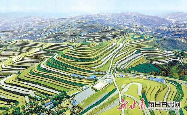 00301003998_6aebbcb6