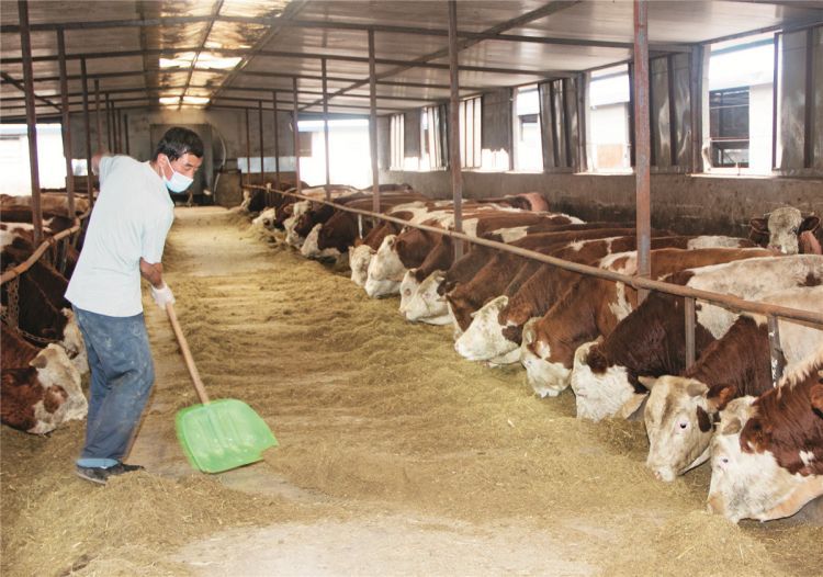 微信图片_20200731165419