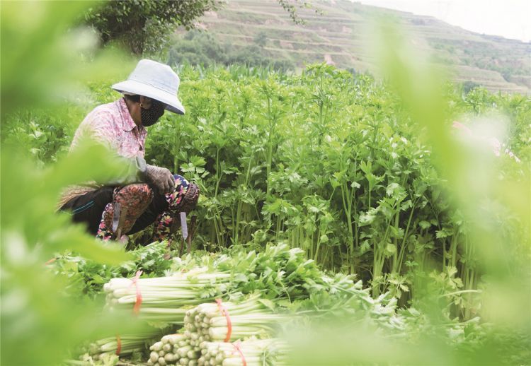 微信图片_20200731165413