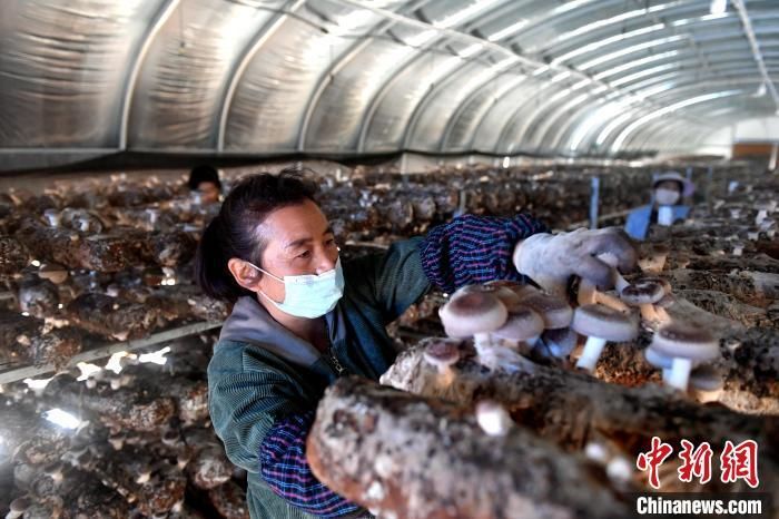 微信图片_20200915093448