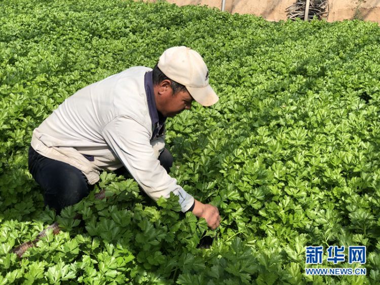 微信图片_20201019174947