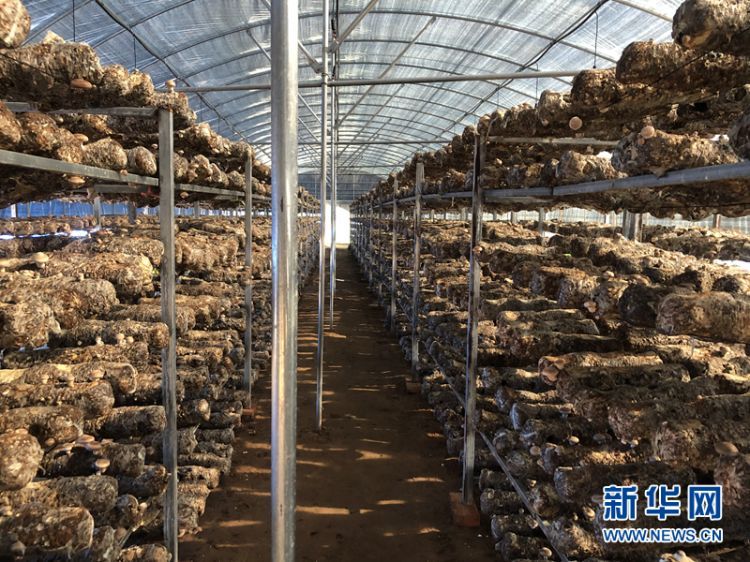 微信图片_20201019174954