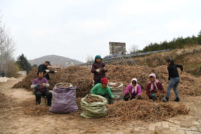 00301111929_8a37697c